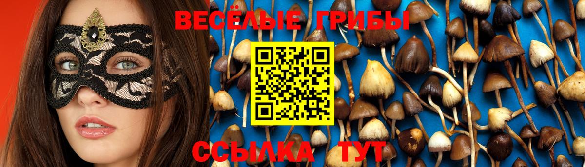 Галлюциногенные грибы ЛСД  Галлюциногенные грибы прущие грибы  Сертолово  Вход с VPN 