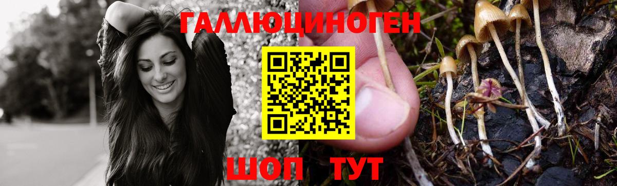 Галлюциногенные грибы мухоморы Сертолово